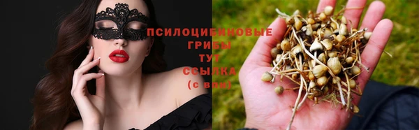 трава Тобольск