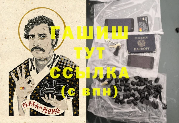 ПСИЛОЦИБИНОВЫЕ ГРИБЫ Туринск