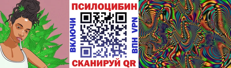 Галлюциногенные грибы Psilocybe  Купить  Тотьма 