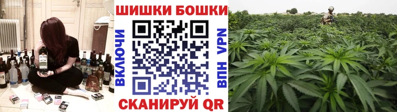 Купить закладки  Тотьма  Марихуана AK-47 